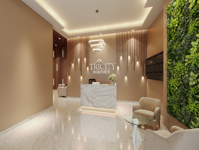 Project gallery Image